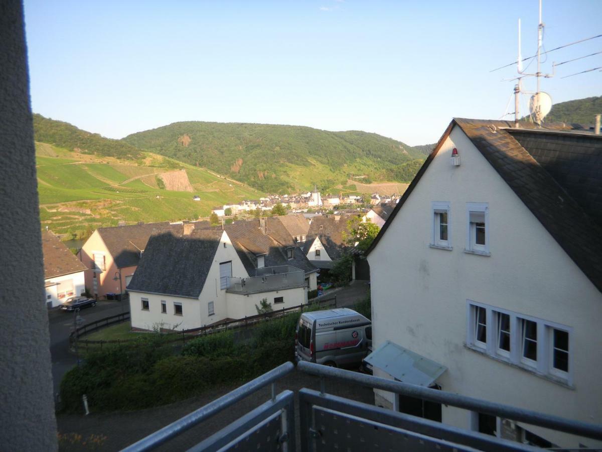 Ferienwohnung Bernkastel-Kues - Alte Rebschule Eksteriør bilde